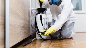 Real Estate Pest Inspections in Sudan, TX